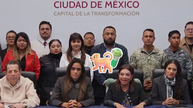 Brugada y Rojo de la Vega acuerdan acciones por perros envenenados en La Condesa