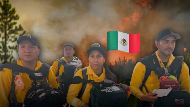Tercer contingente de combatientes rumbo a Canadá