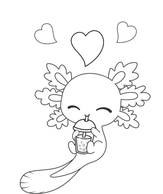 Ajolote tomando refresco