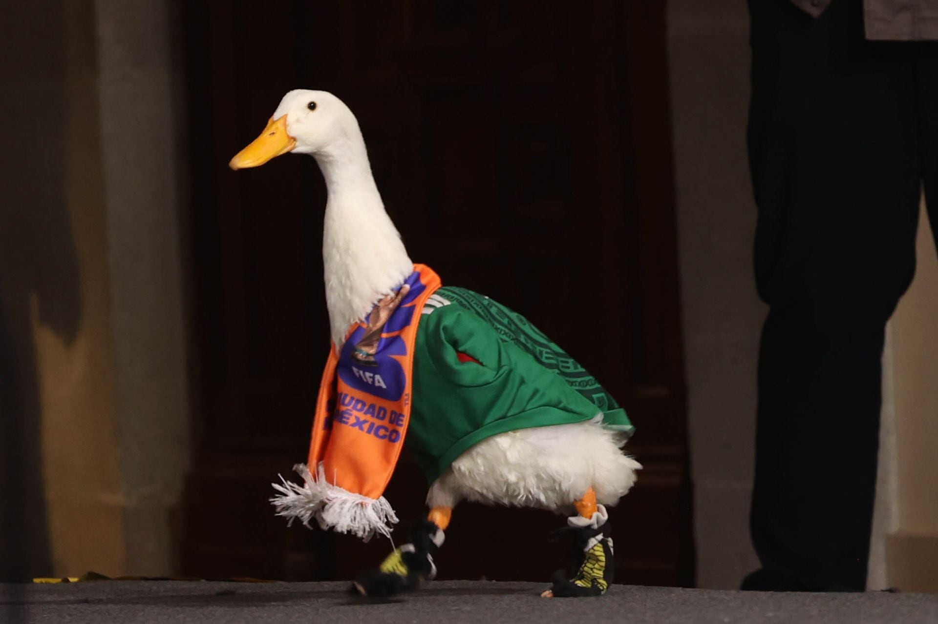El Pato Merlín y su familia estuvieron en la Conferencia de Claudia Sheinbaum