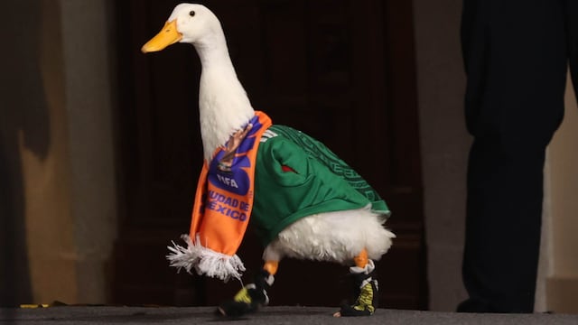 El Pato Merlín y su familia estuvieron en la Conferencia de Claudia Sheinbaum