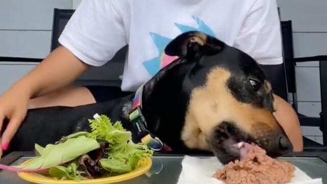 Asegura que su mascota es vegetariana