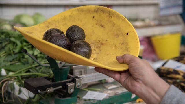 Precio del kilo de aguacate