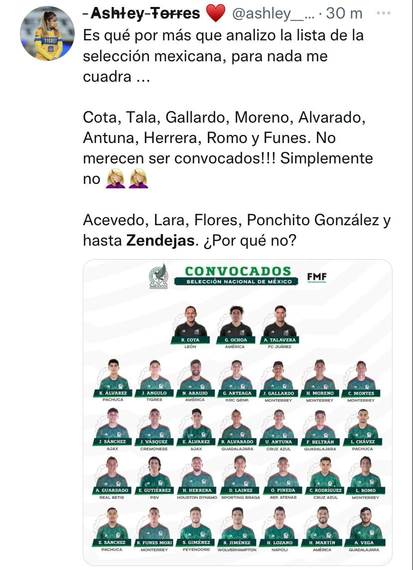 Los fans explotaron por el llamado de Funes Mori y no el de Lara y Zendejas.