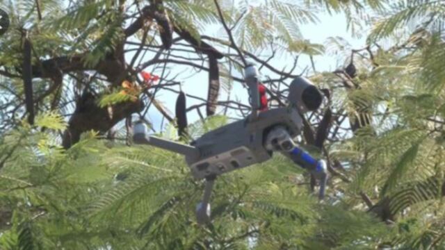 El alcalde sabe que cada dron salió carísimo (todo un lujo) pero jaló.