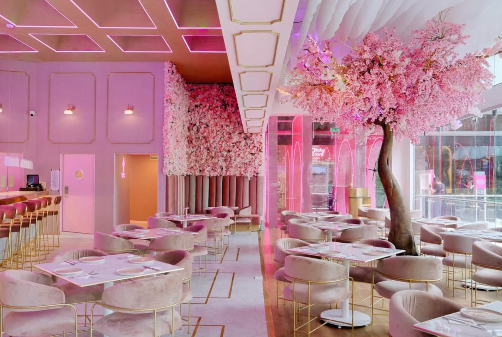 Pinky Room, restaurante de Karla Díaz
