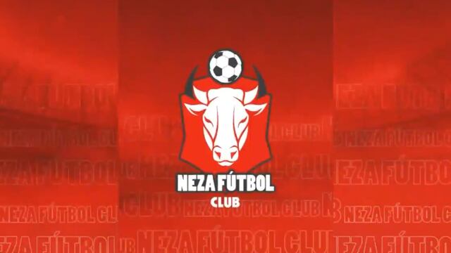 Toros Neza FC