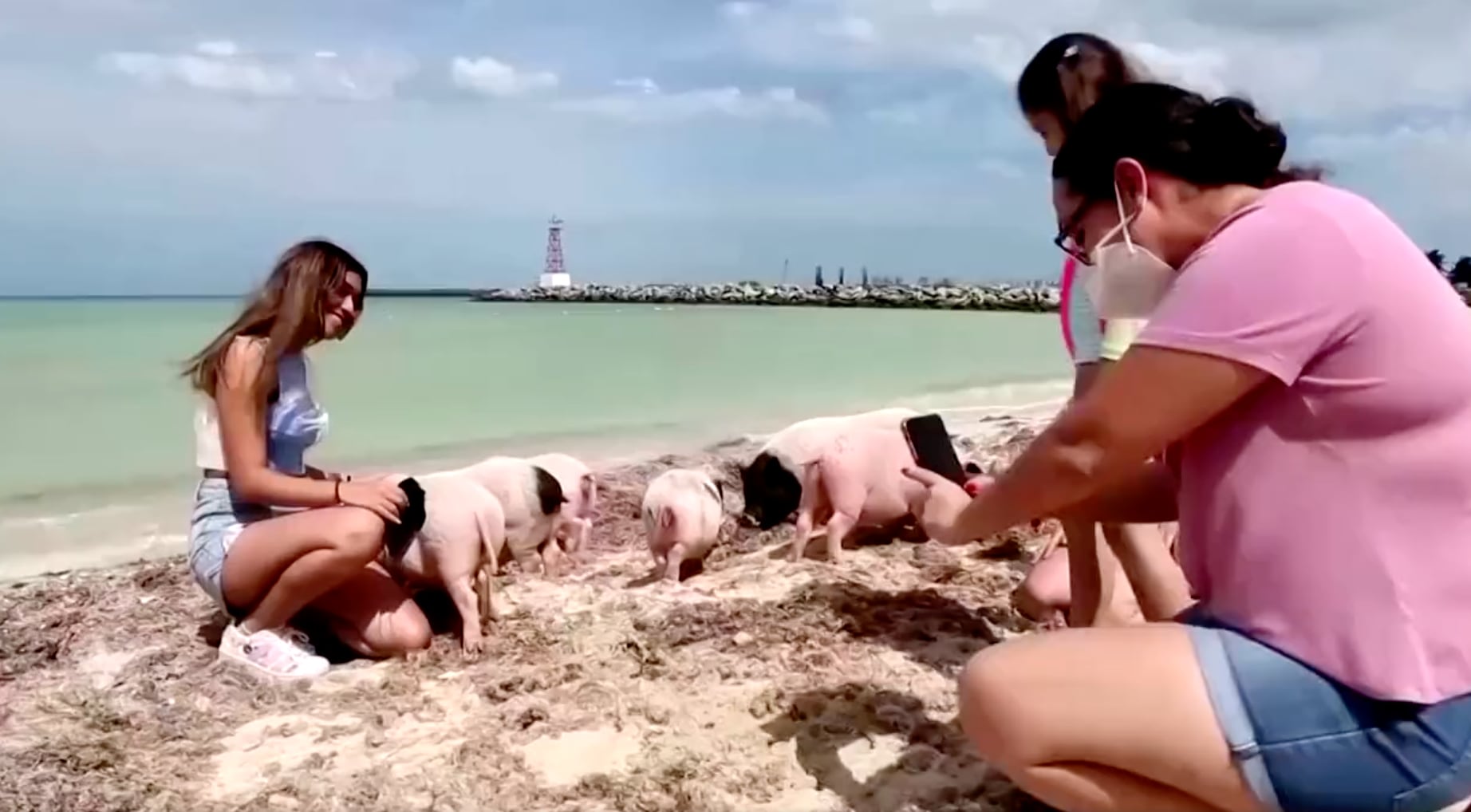 Pig Beach