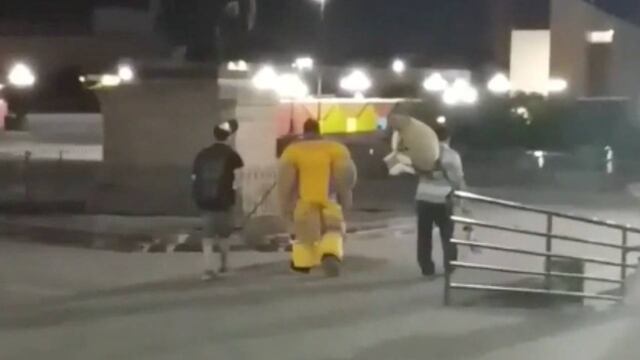 Así caminó triste y desolada la mascota.