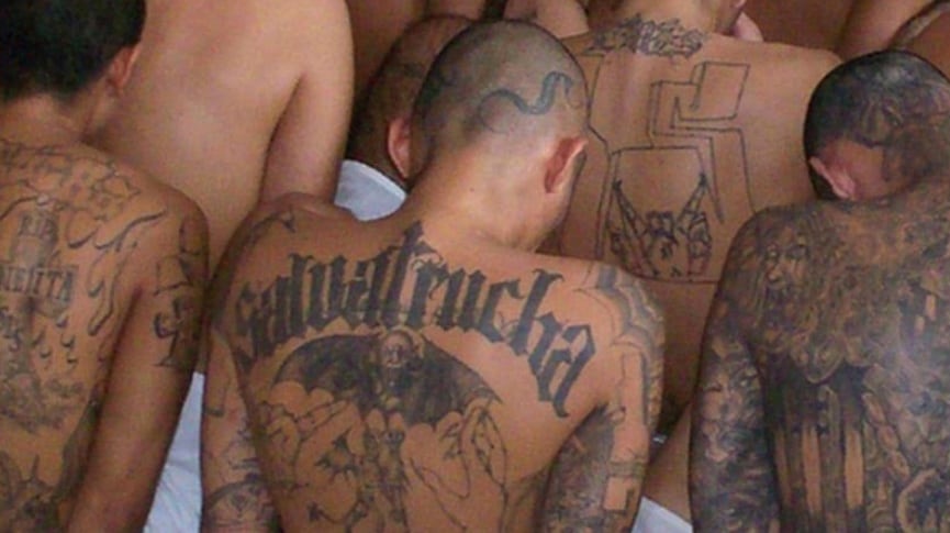 Mara Salvatrucha