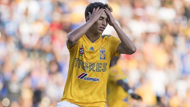 Damm no se irá a préstamo de Tigres