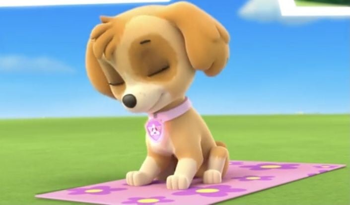 Skye de Paw Patrol