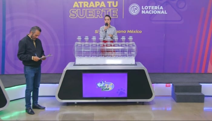 Resultados Sorteo Gana Gato 2733 de Lotería Nacional: Ganadores de la bolsa acumulada de 300 mil pesos