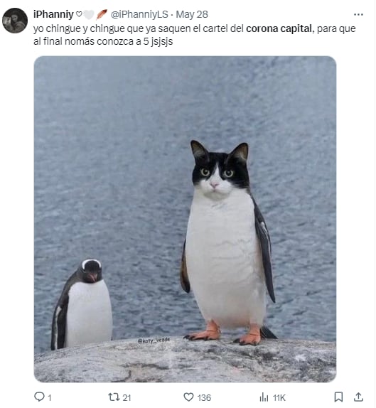 Memes por el cartel del Corona Capital 2024