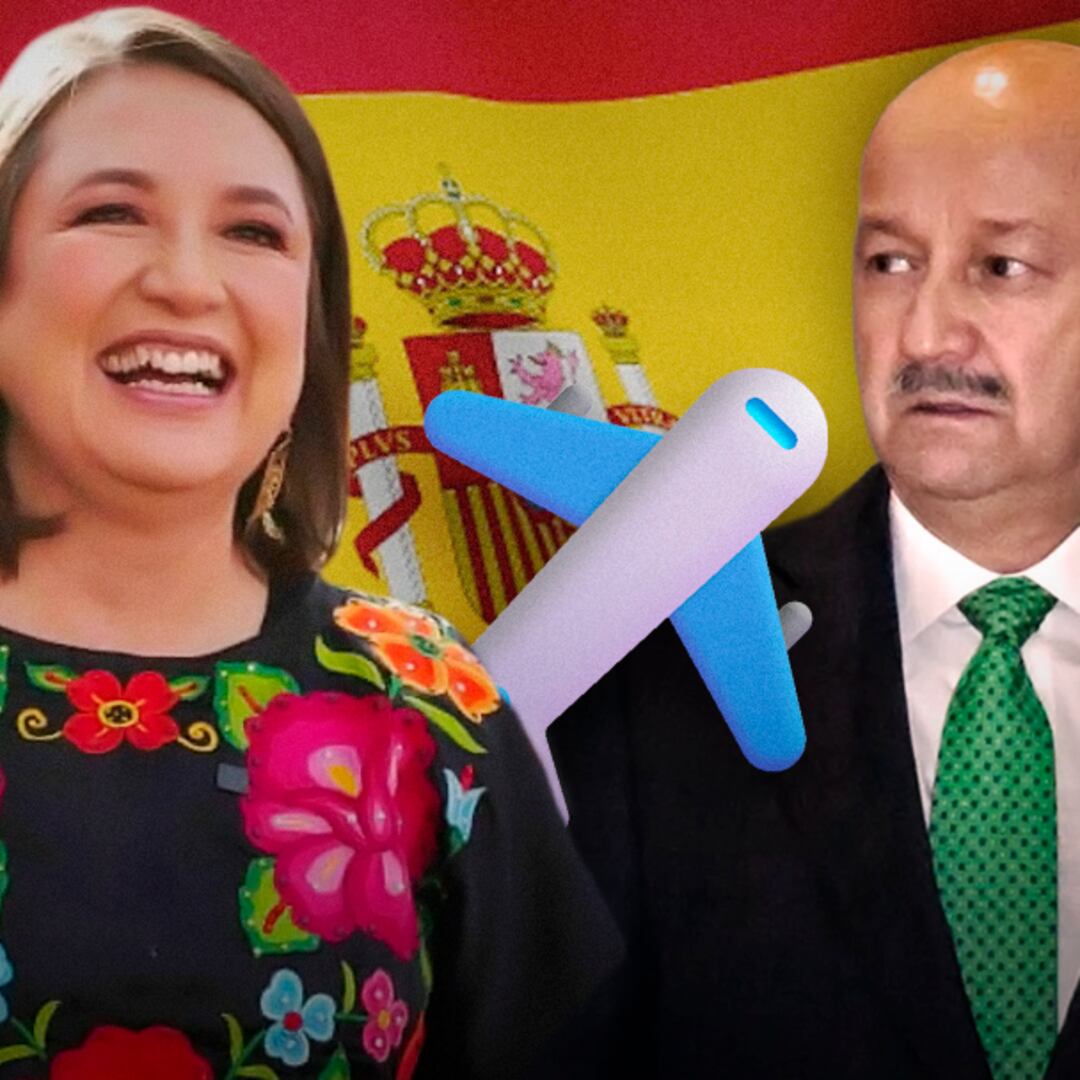 Zoom: Salinas y Calderón con Max y Manlio. Sobre Xóchitl y Claudia