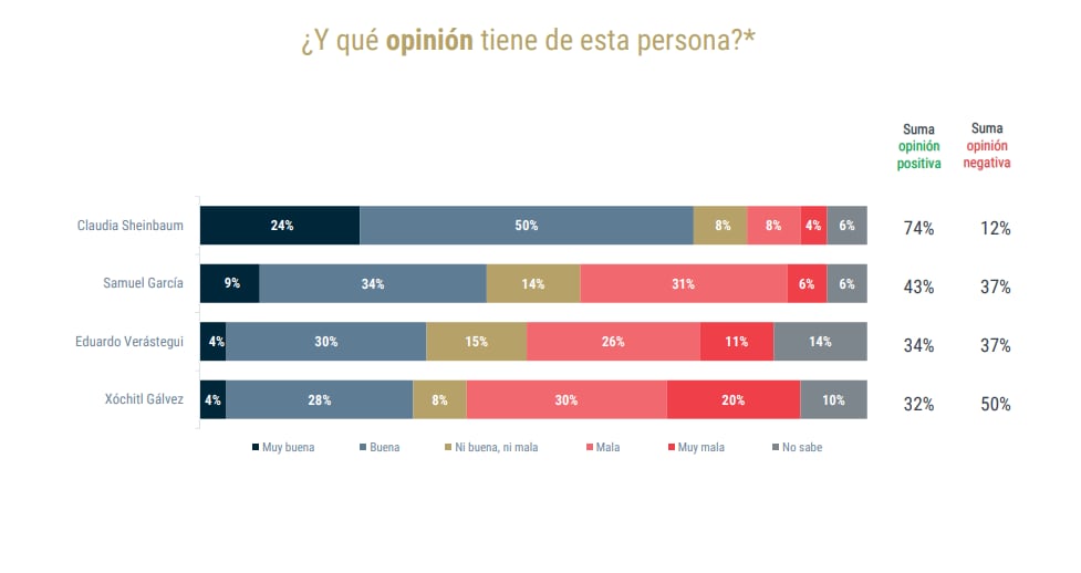 De las Heras Demotecnia encuesta noviembre
