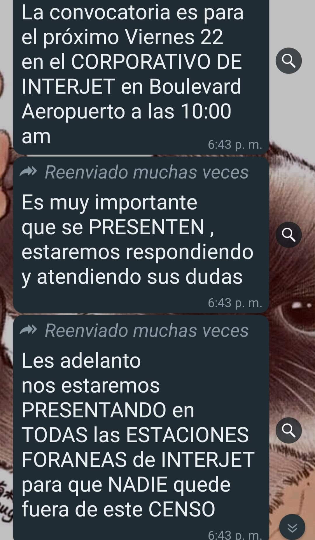 Mensajes de WhatsApp de la familia Del Valle a trabajadores de Interjet