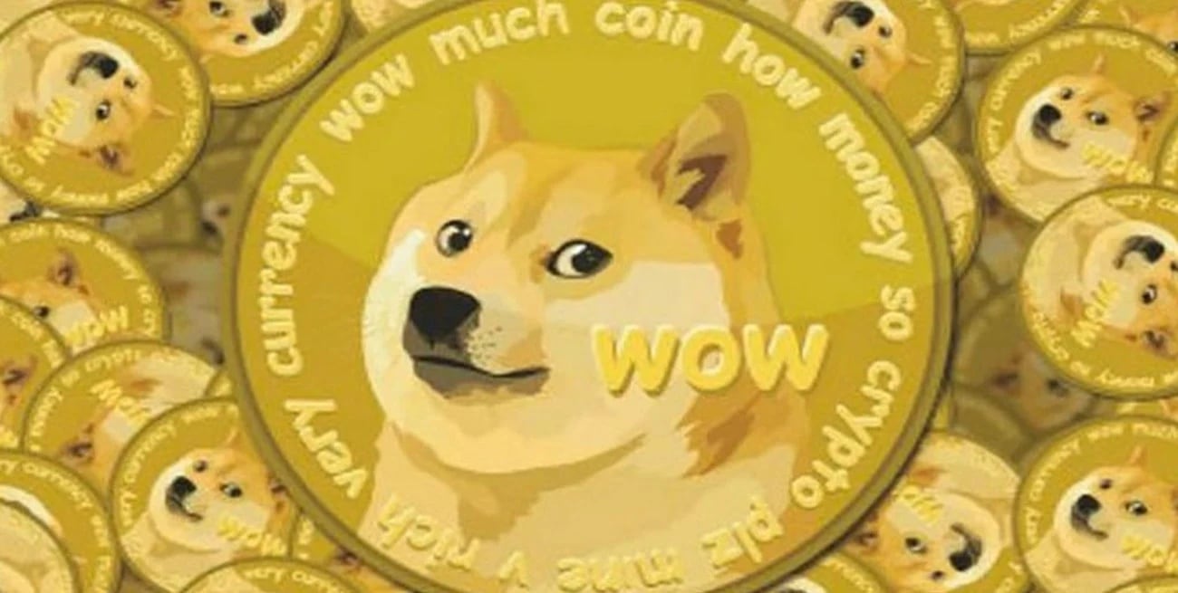 ¿Quién fue Kabosu? Doge, la perrita de los memes que inspiró una criptomoneda murió a los 17 años de edad