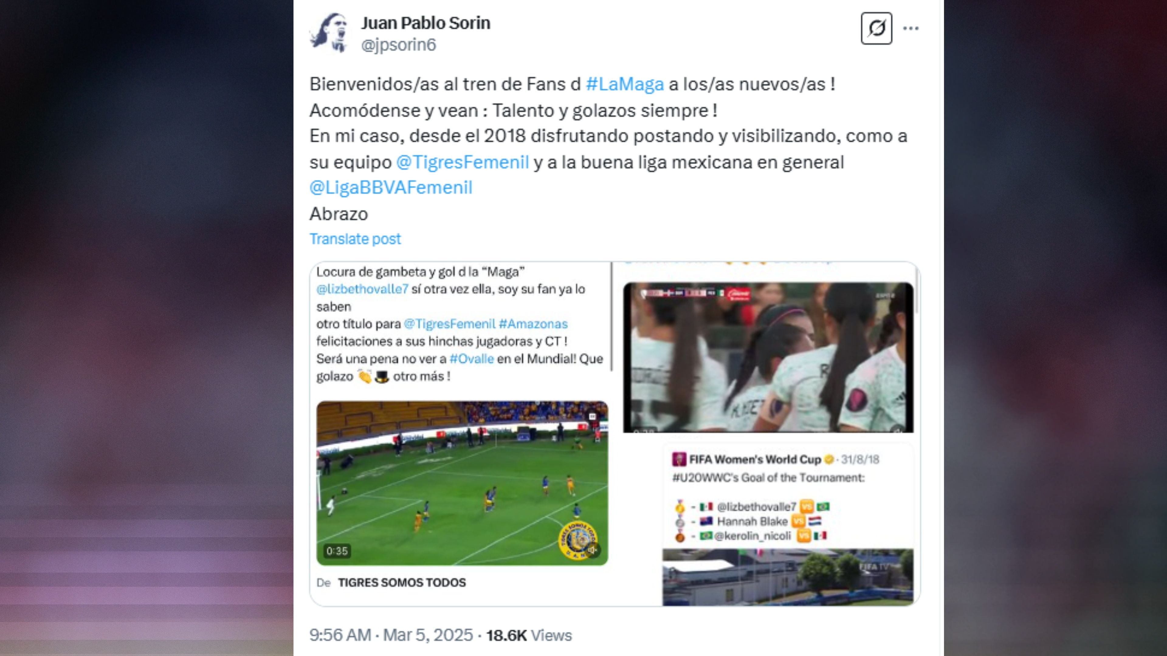 Juan Pablo Sorín sobre Lizbeth Ovalle.