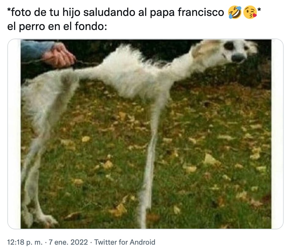 Meme del Papa Francisco y las mascotas
