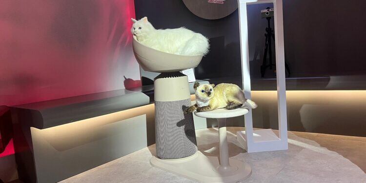 Aero Cat Tower LG, la torre para gatos que conquistó en CES 2025