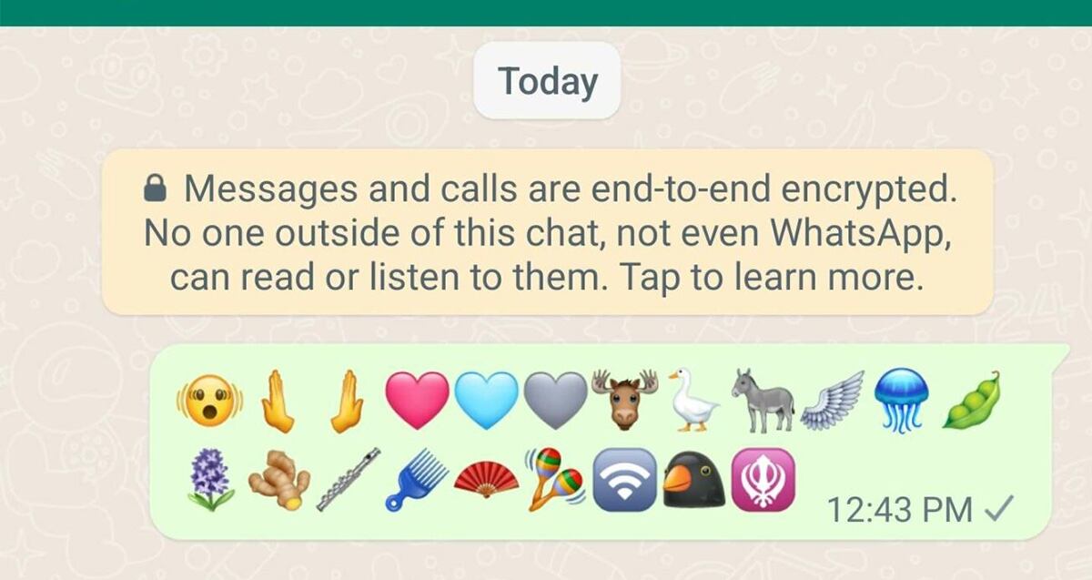WhatsApp: Nuevos emojis 2023 incluyen un burro y hasta jengibre