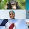 ¿Qué se celebra el 14 de julio? Hoy es Día Mundial del Chimpancé, Día Internacional del Tiburón, Día Internacional de las Personas no Binarias y más efemérides