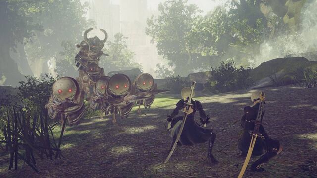 NIeR: Automata