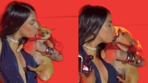 VIDEO: Yailin La Más Viral es atacada por un perro chihuahua al que intentó besar en concierto