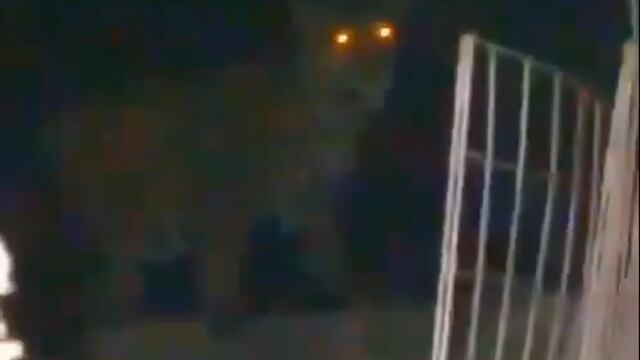¿Un jaguar fue captado en video merodeando una casa en Cancún por culpa del Tren Maya?