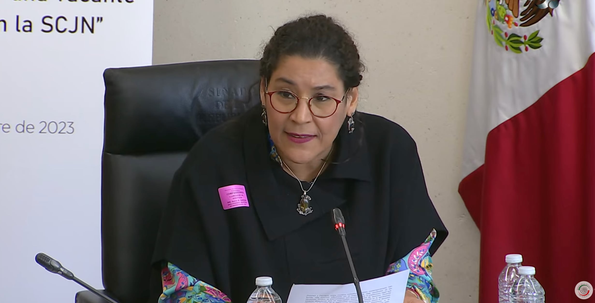 Lenia Batres Guadarrama