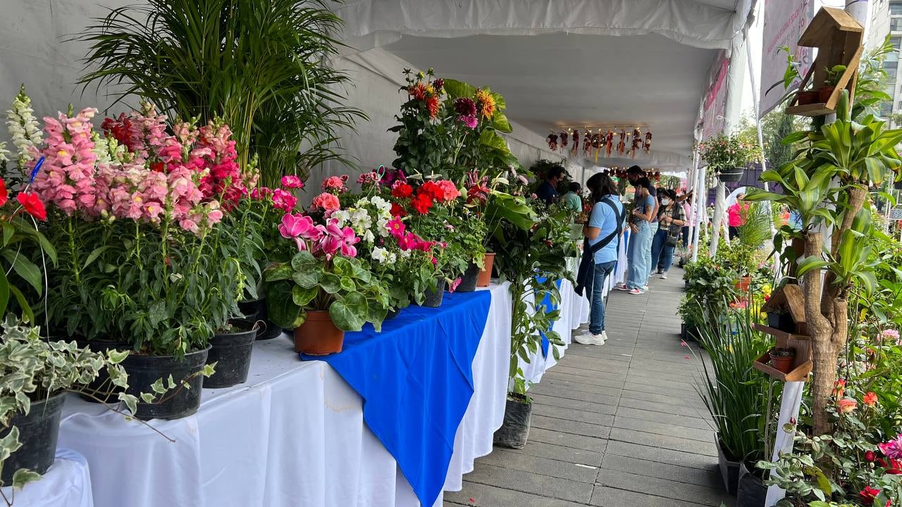 Lía Limón en Feria de las Flores