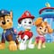 Actividades de Paw Patrol para imprimir: 5 plantillas divertidas y de aprendizaje
