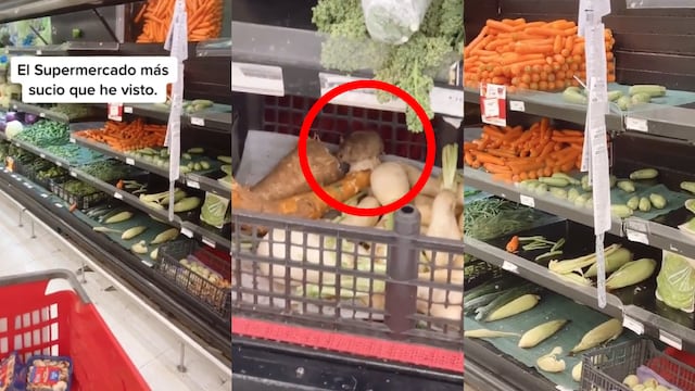 Soriana tiene ratones comiendo en los cajones de verdura