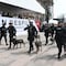Policías de Monterrey participan en desfile por la Independencia de México