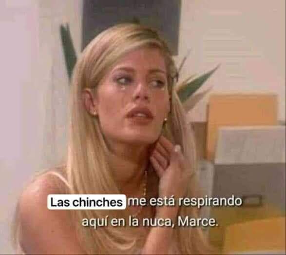 Se desata plaga de memes por chinches de la UNAM
