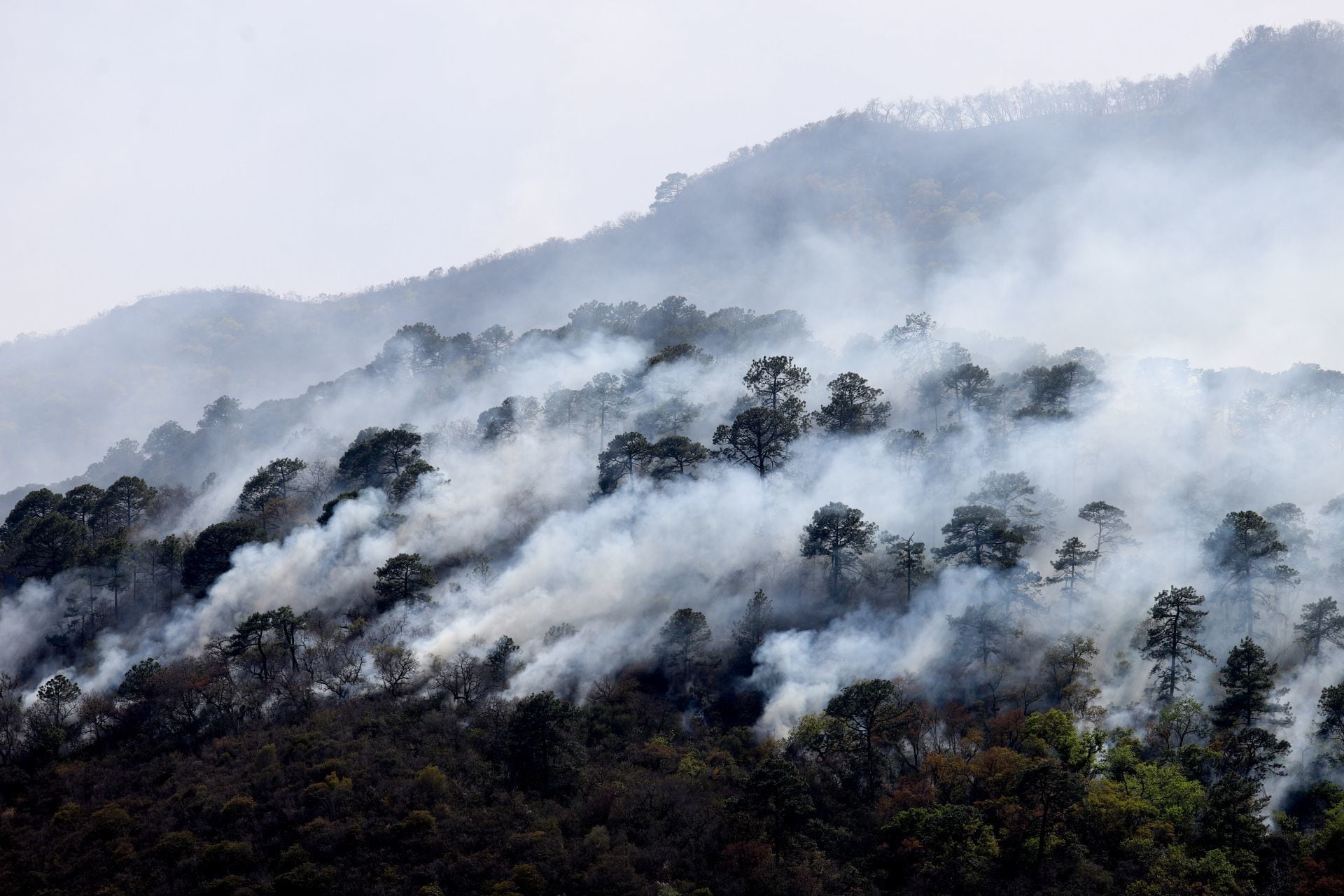 Incendio en la Sierra de Santiago, Nuevo León
