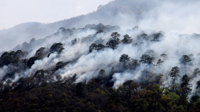 Incendio en la Sierra de Santiago, Nuevo León