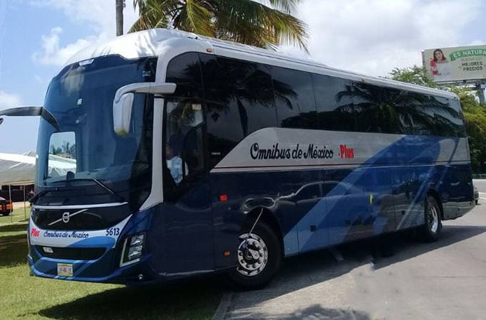 Cartel del Noreste trafica fentanilo y otras drogas mediante autobuses Omnibus de México