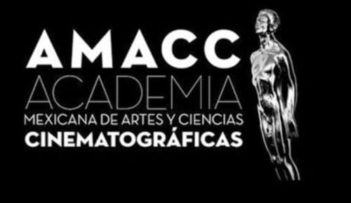 AMACC apoya postura del Gobierno de México ante intervención en Venezuela