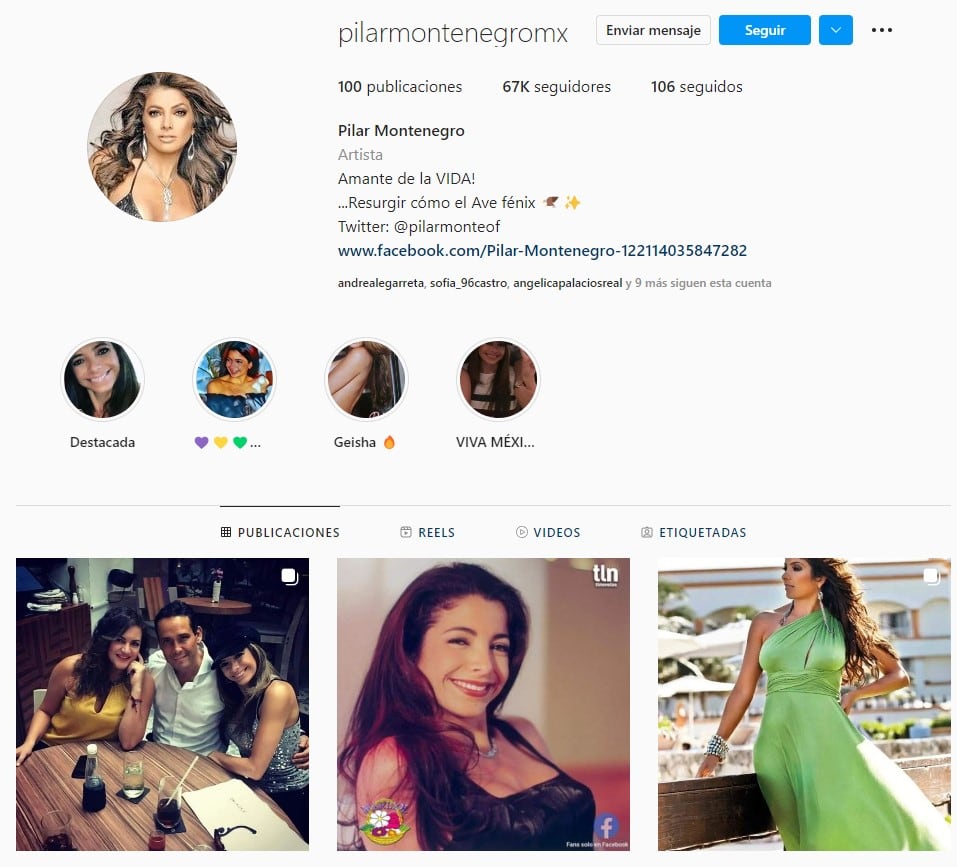 Cuenta falsa de Pilar Montenegro en Instagram