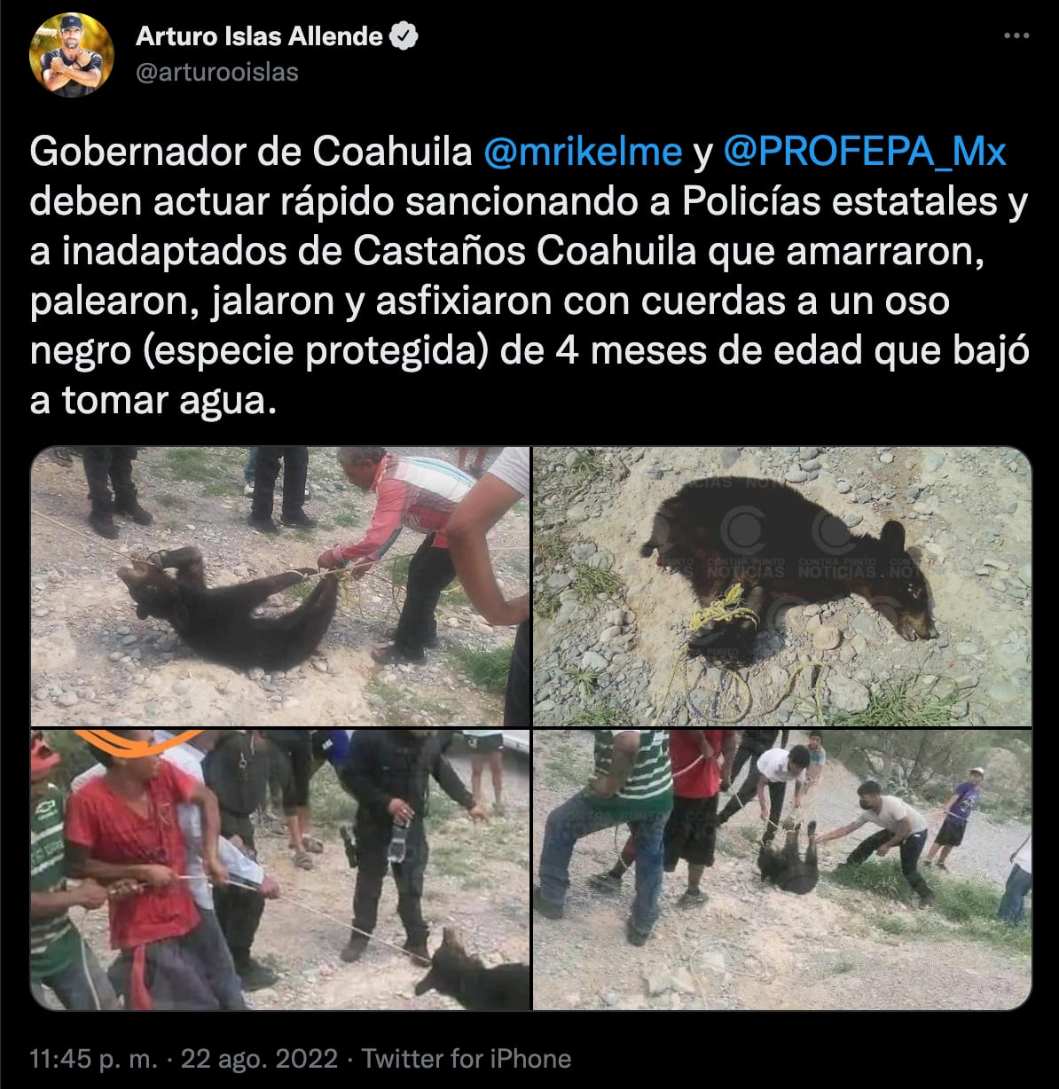 Arrastran a perrita amarrada a una motocicleta en Morelos; Arturo Islas amenaza con marcha si Cuauhtémoc Blanco no hace nada