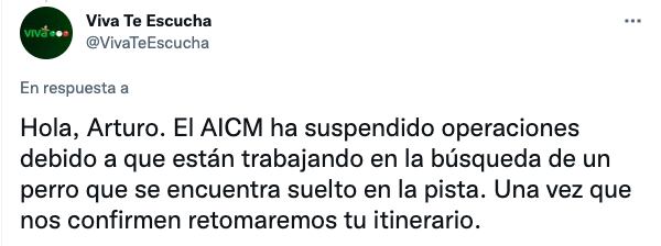 Viva Aerobús confirma detención de vuelos en el AICM por perrito en las pistas