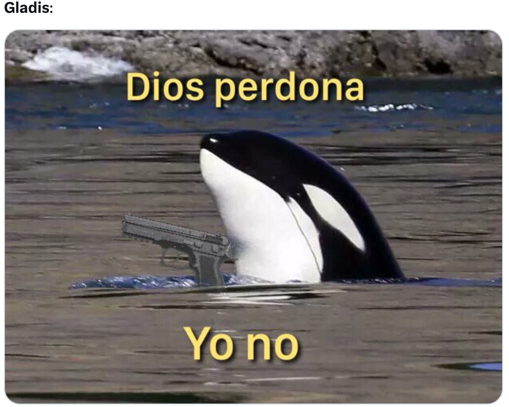Memes de Gladis, la orca asesina