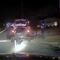 Policías encuentran a ciervo con vida en la cajuela de un auto (VIDEO)