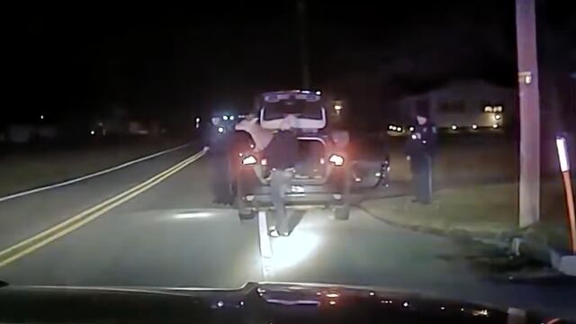 Policías encuentran ciervo con vida en la cajuela de un auto