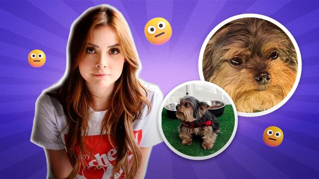 Maryfer Centeno habla de la salud de su perrito Yorkie