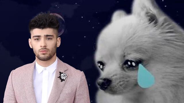 Memes reaccionan a Zayn Malik y su concierto cancelado en CDMX