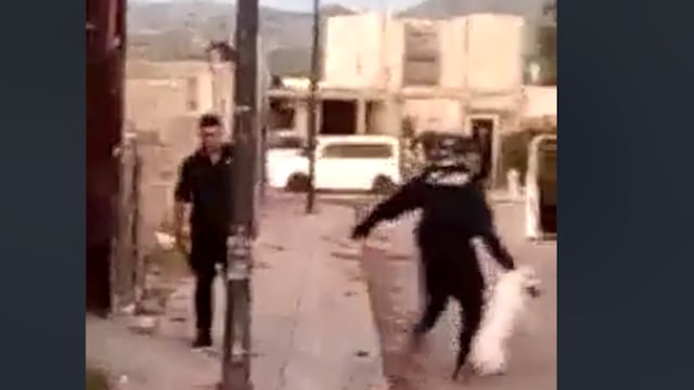 Policías que mataron a una perra pitbull