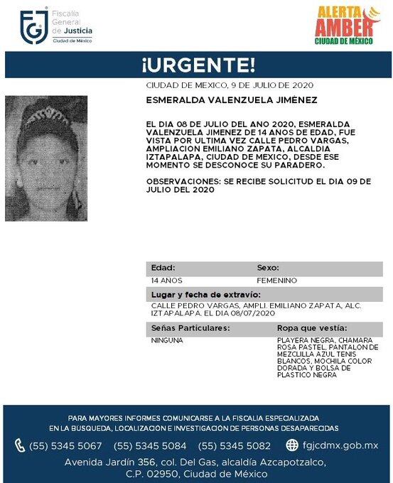 Ficha de búsqueda de Esmeralda.